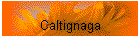 Caltignaga