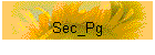 Sec_Pg